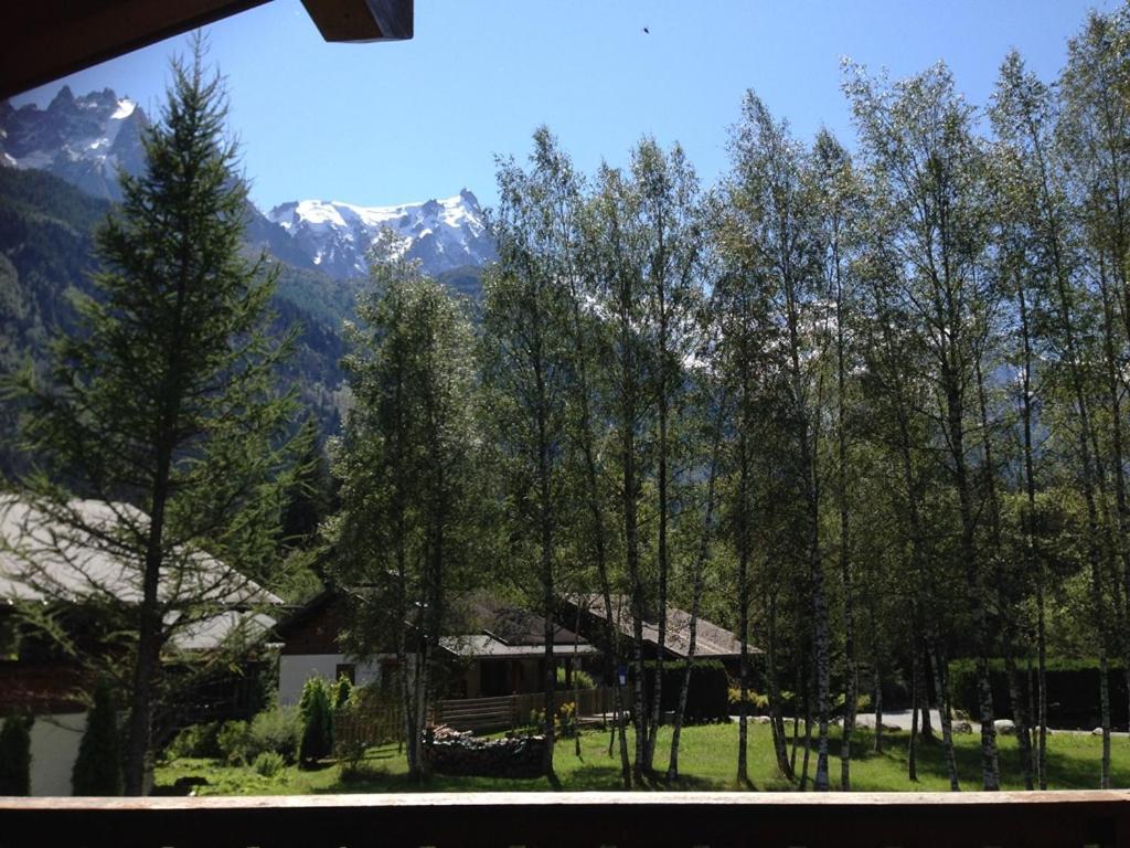 Chalet Champraz Apartment Chamonix Kültér fotó
